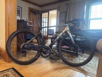 Used Seka Custom Frameset 2025 Road & Gravel