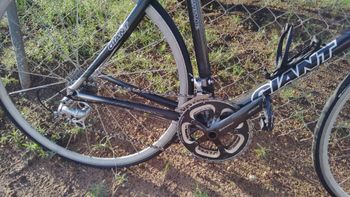 Used Giant Tcr Shimano Ultegra 2005 Road & Gravel, Black — image 3 of 5
