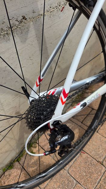 Used Trek Domane SL 5 Disc Women's 2018 2018 Road & Gravel, White — image 6 of 7