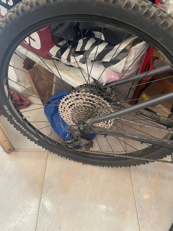 Used Focus WHISTLER 3.9 2022 2022 Urban & Touring