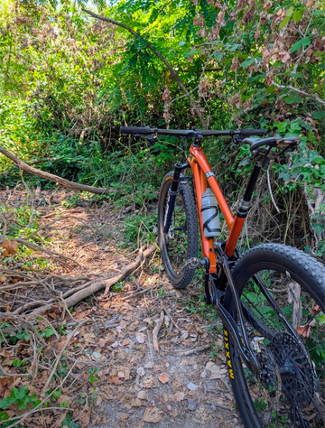 Tweedehands Giant Anthem SRAM XX 2023 Mountainbike — afbeelding 4 van 4