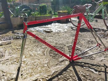 Used Colnago Master Piu Frameset 1983 Road & Gravel, Red — image 6 of 12