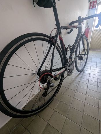 Gebrauchtes Ridley Orion Shimano Ultegra 2016 Road & Gravel, Weiß — Bild 2 von 5