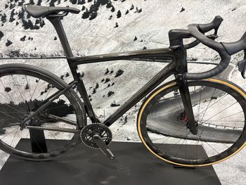 Used Specialized Tarmac SL8 Frameset 2024 Frameset 2024 Road & Gravel