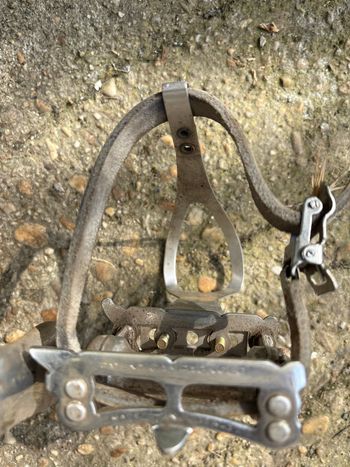 Used Castagnone Custom Other Campagnolo 1970 Road & Gravel, Green — image 3 of 17