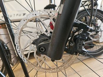 Käytetty Whistle B-Rush C8.4 2024 Mountainbike — kuva 10 / 10