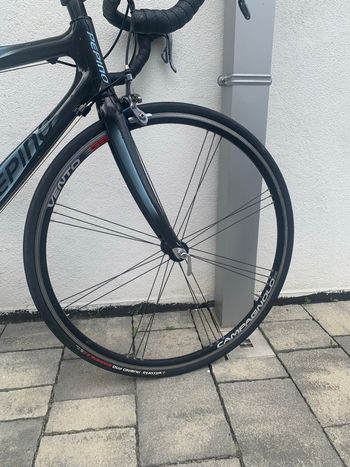 Używany Pepino Custom Other Campagnolo 2017 Road & Gravel — zdjęcie 5 z 9