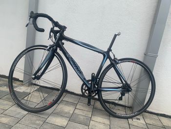 Używany Pepino Custom Other Campagnolo 2017 Road & Gravel — zdjęcie 2 z 9