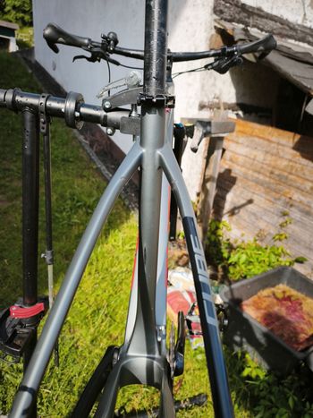 Used CUBE REACTION C:62 RACE 2023 2023 Mountainbike, Light Gray — image 12 of 12