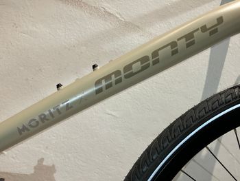 Used Monty Indie MU 733 2023 2023 Urban, Light Gray — image 8 of 21