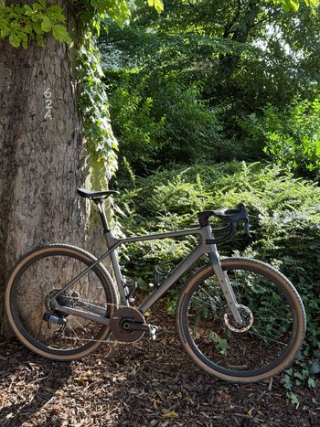Used Twitter Custom WheelTop EDS 2025 Road & Gravel, Light Gray — image 2 of 12