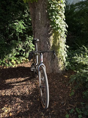 Used Twitter Custom WheelTop EDS 2025 Road & Gravel, Light Gray — image 4 of 12