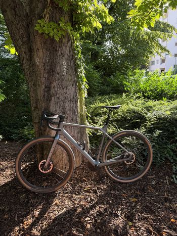 Used Twitter Custom WheelTop EDS 2025 Road & Gravel, Light Gray — image 3 of 12