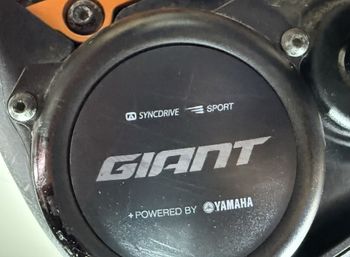 Used Giant Stance E+ 2 Power 2019 2019 Mountainbike, Orange — image 11 of 22