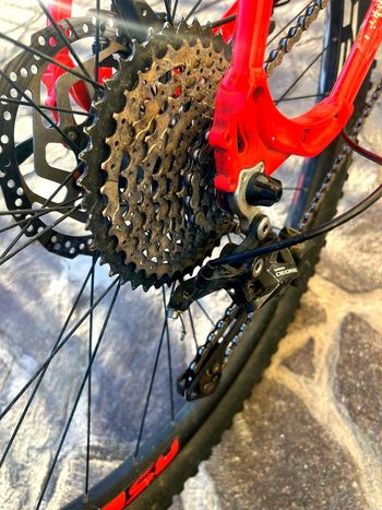 Used Bottecchia BE32 EVO 2021 Mountainbike, Red — image 12 of 12