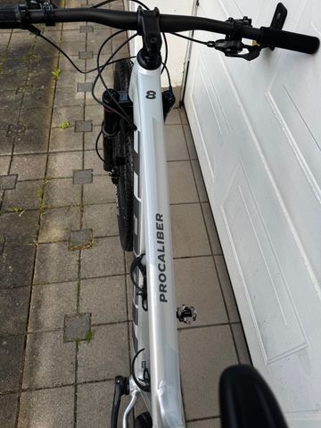 Used Trek Procaliber 8 2025 2025 Mountainbike, Light Gray, 29 — image 5 of 12