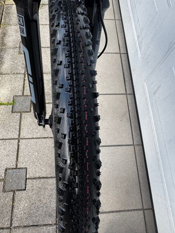 Brugt Trek Procaliber 8 2025 2025 Mountainbike — billede 11 af 12
