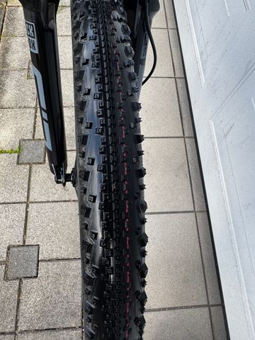 Used Trek Procaliber 8 2025 2025 Mountainbike, Light Gray, 29 — image 11 of 12