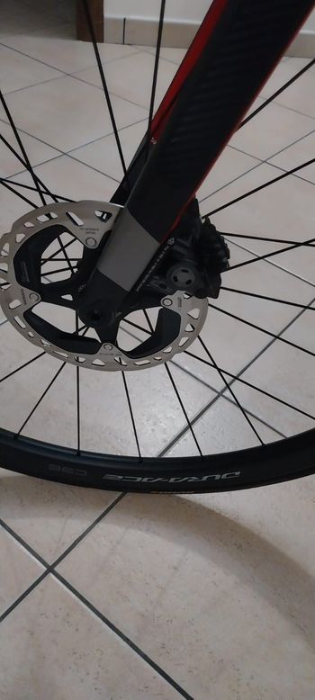 Gebrauchtes Cipollini DOLOMIA Shimano Dura Ace Di2 2024 Road & Gravel, Schwarz — Bild 6 von 9
