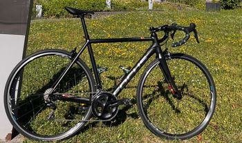 Used Focus IZALCO RACE 6.9 2020 2020 Road & Gravel