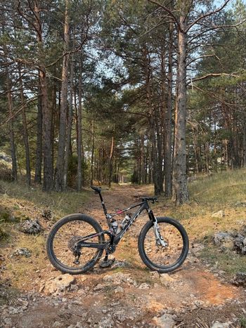 Used Scott Spark RC World Cup EVO 2025 2025 Mountainbike, Black, 29 — image 7 of 7