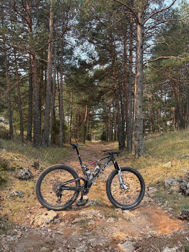 Used Scott Spark RC World Cup EVO 2025 2025 Mountainbike, Black, 29 — image 7 of 7