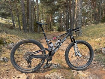 Used Scott Spark RC World Cup EVO 2025 2025 Mountainbike, Black, 29 — image 6 of 7
