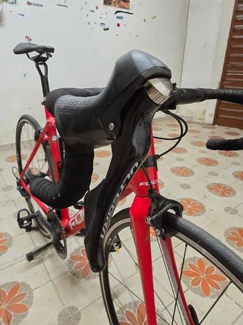 Used Focus IZALCO RACE 9.8 2019 2019 Road & Gravel, Red — image 15 of 21