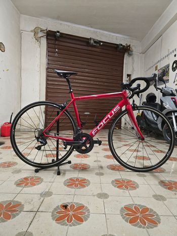 Used Focus IZALCO RACE 9.8 2019 2019 Road & Gravel