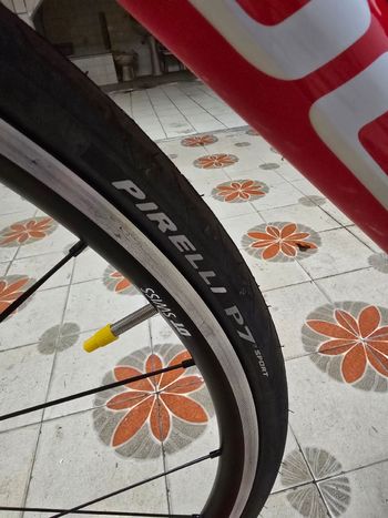 Used Focus IZALCO RACE 9.8 2019 2019 Road & Gravel, Red — image 8 of 21