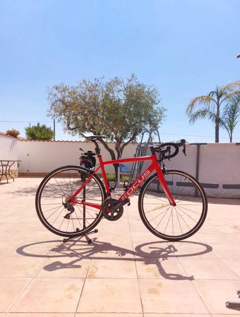 Tweedehands Focus IZALCO RACE 9.8 2019 2019 Racefiets & gravel