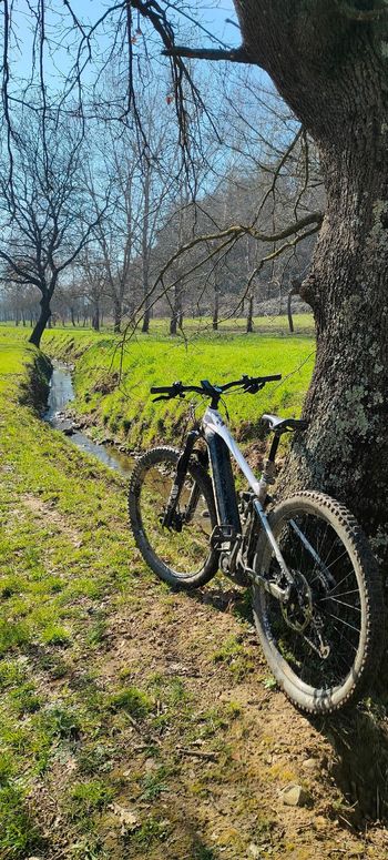 Used Mondraker Crafty R 2021 2021 Mountainbike, Black, 29 — image 13 of 16