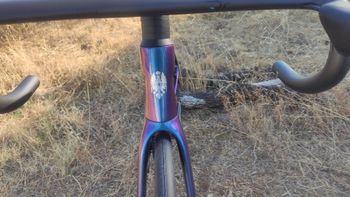 Used Bianchi Specialissima PRO Ultegra Di2 2025 2025 Road & Gravel, Purple — image 4 of 10