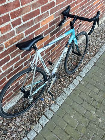 Brugt Koga Miyata Shimano Ultegra 2006 Road & Gravel — billede 3 af 3