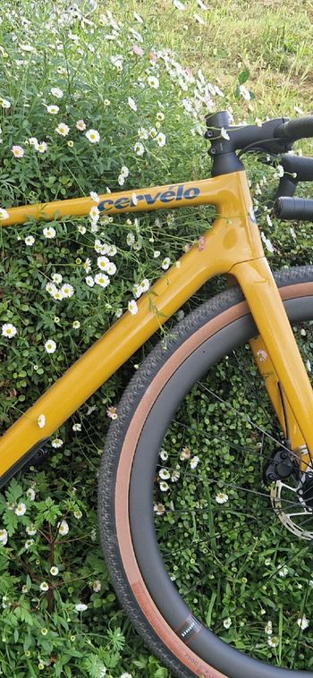 Gebrauchtes Cervélo Áspero Rival XPLR AXS 1 2026 2026 Road & Gravel, Orange — Bild 2 von 6