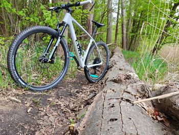 Used CUBE REACTION C:62, ONE 2025 2025 Mountainbike, White, 27.5, 29 — image 3 of 3