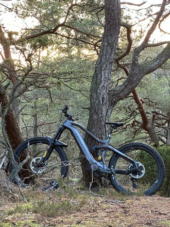 Used Haibike AllMtn SE 2021 2021 Mountainbike, Light Gray, 29 — image 4 of 4
