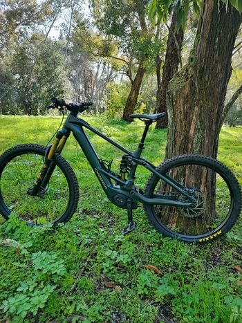 Used Orbea Wild M-TEAM Mullet 2025 2025 MTB