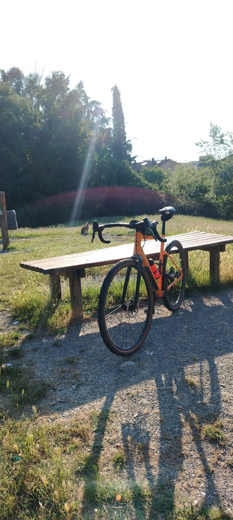 Used Cannondale Topstone 4 2025 2025 Road & Gravel, Orange — image 3 of 5