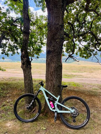 Used YT Industries Jeffsy CORE 2 29 2024 2024 Mountainbike, Blue, 29 — image 6 of 8