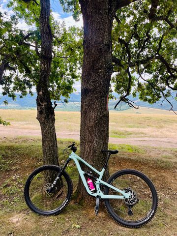 Gebrauchtes YT Industries Jeffsy CORE 2 29 2024 2024 Mountainbike, Blau, 29 — Bild 6 von 8