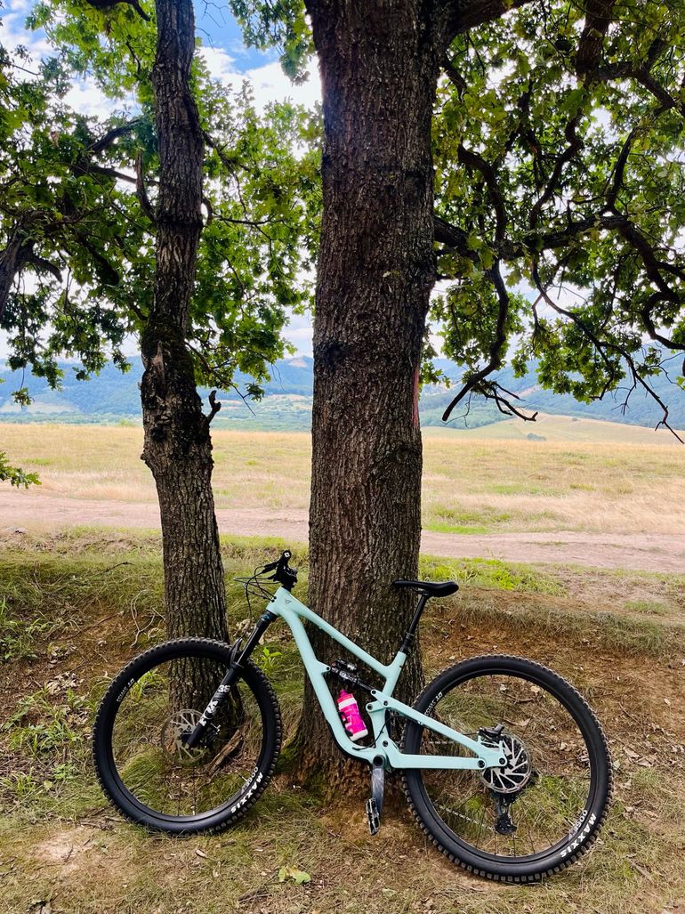 Used YT Industries Jeffsy CORE 2 29 2024 2024 Mountainbike, Blue, 29 — image 6 of 8