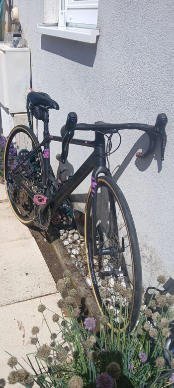 Tweedehands Canyon Ultimate WMN CF SL Disc 7.0 2019 2019 Road & Gravel — afbeelding 8 van 10