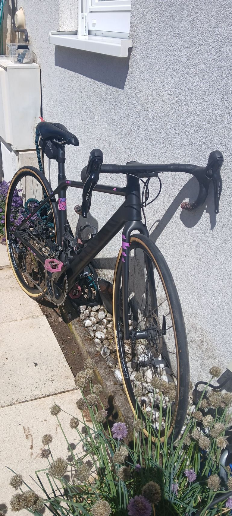 Tweedehands Canyon Ultimate WMN CF SL Disc 7.0 2019 2019 Road & Gravel — afbeelding 8 van 10