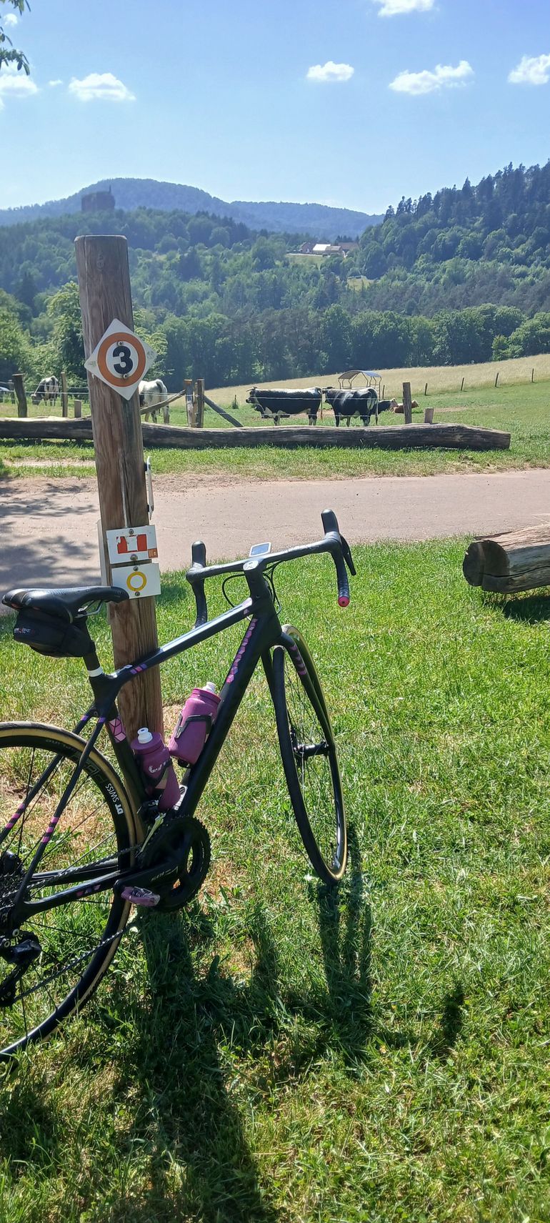 Tweedehands Canyon Ultimate WMN CF SL Disc 7.0 2019 2019 Road & Gravel — afbeelding 1 van 10