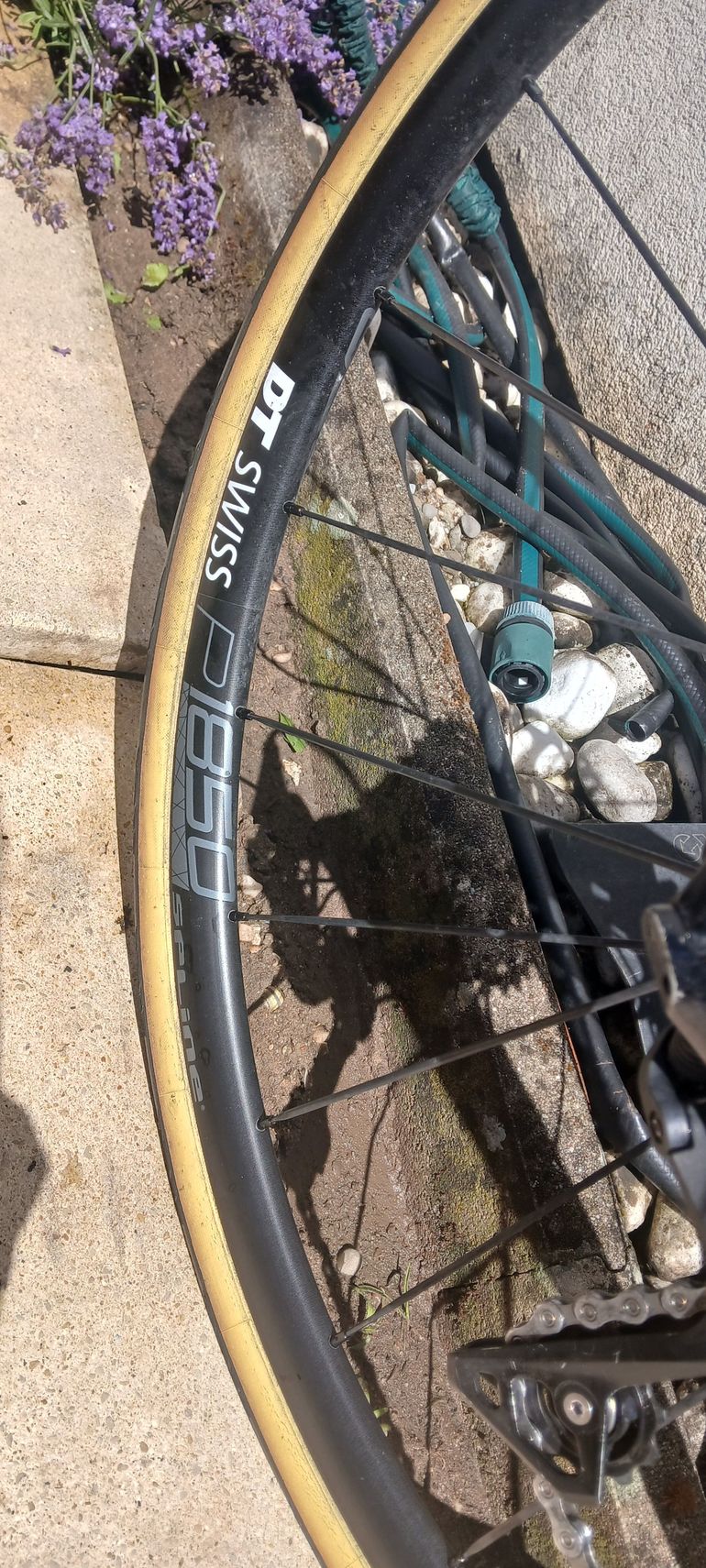 Tweedehands Canyon Ultimate WMN CF SL Disc 7.0 2019 2019 Road & Gravel — afbeelding 6 van 10