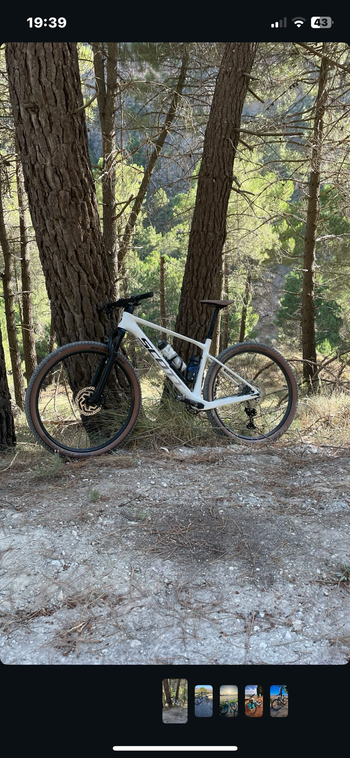 Used Scott Scale 930 2024 2024 Mountainbike, White, 29 — image 3 of 8