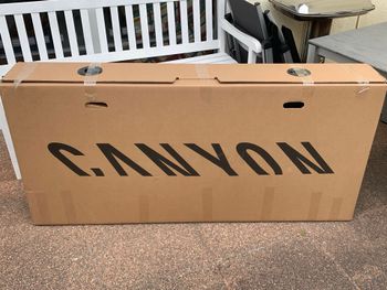 Used Canyon Torque 29 AL 6 2022 2022 Mountainbike, Orange, 29 — image 27 of 27