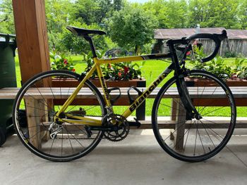 Used Bianchi Custom Campagnolo Veloce 2002 Road & Gravel
