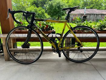 Used Bianchi Custom Campagnolo Veloce 2002 Road & Gravel, Black — image 2 of 7